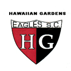 HG Eagles team badge